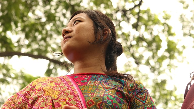 Flowchart showing relationships between crowdfunding participants creators contributors platforms regulators